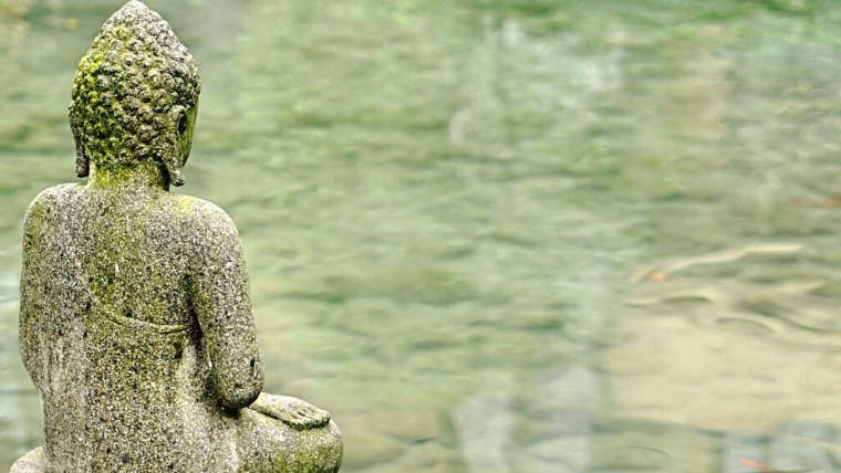 statue de boudha au bord d'un lac où nagent des poissons